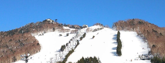 高天ヶ原マンモススキー場 is one of SHIGA KOGEN Ski Area.