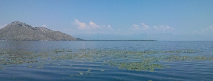 Скадарское озеро is one of Сечање на Црну Гору/Remembrances about Montenegro.