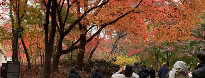 Secret Garden is one of Seoul.