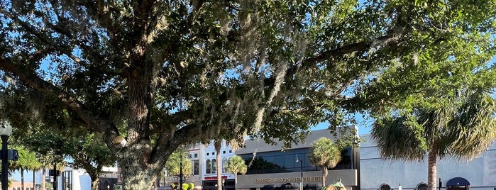 Ocala Downtown Historic Square is one of Places to explore.