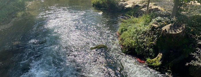 Δίπλα στό ποτάμι is one of Ioannina-Griekenland.
