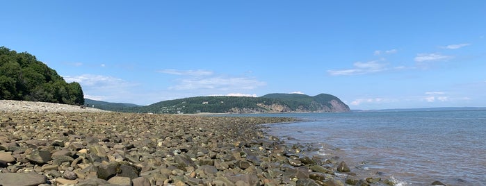 Fundy National Park is one of Posti salvati di Jeff.