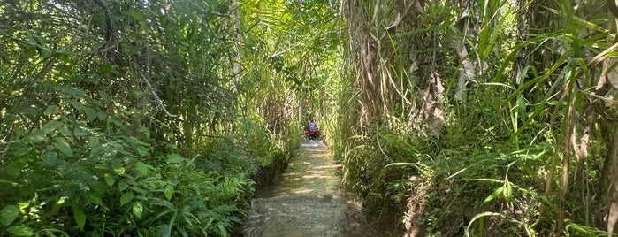 Bali Surya ATV Adventure, Payangan Ubud is one of Honeymoon trip.