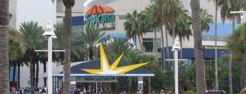 Tropicana Field is one of MLB Stadiums.