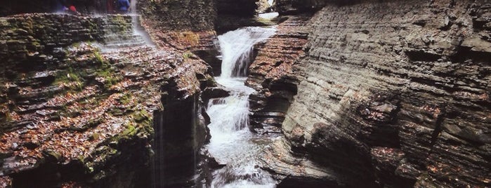 Watkins Glen State Park is one of Buffalo Road Trip - Finger Lakes - Cooperstown.
