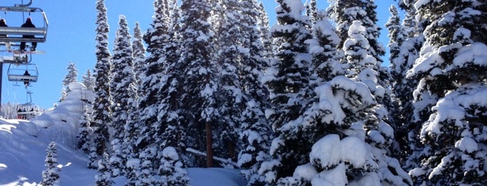 Telluride Ski Resort is one of Locais curtidos por Patricia.