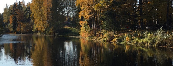 Pavlovsk Museum is one of Непременно сходить!.