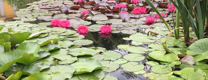 Botanischer Garten is one of Orte, die Petri gefallen.