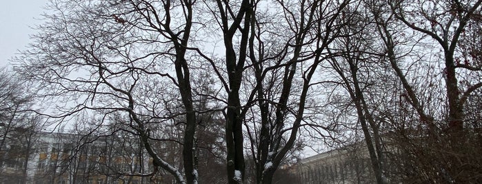 Московский сад is one of Парки Санкт-Петербурга.