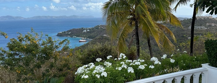 Mustique Island is one of Shannon Durant.