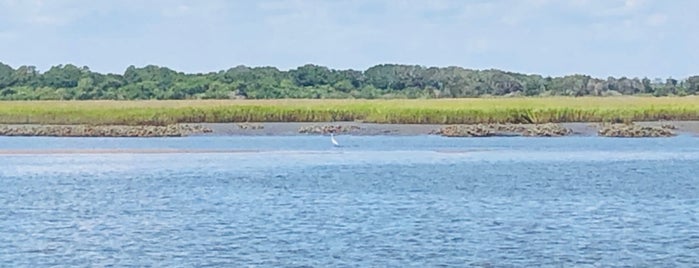 Cumberland Island National Seashore is one of Savannah, GA.
