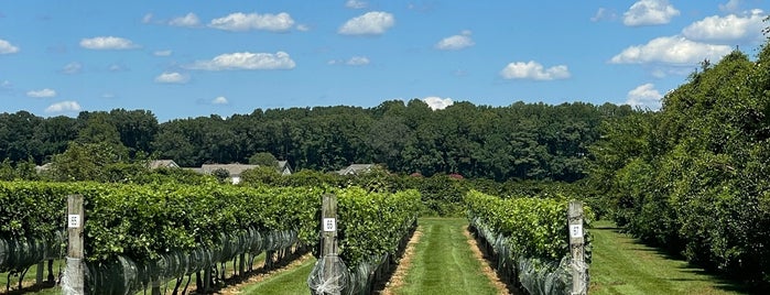 Bordeleau Vineyards and Winery is one of Vineyard & Wineries Wishlist.