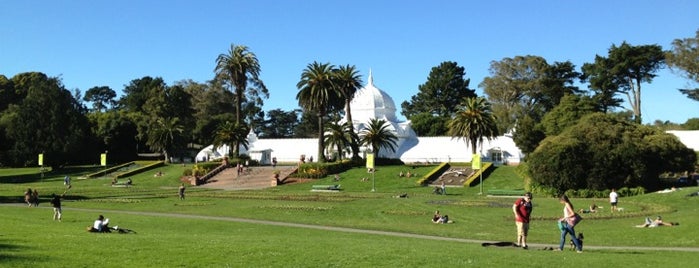 Golden Gate Park is one of San Fran 2013.