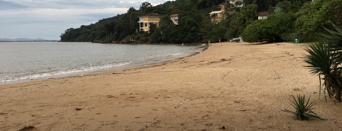 Praia do Toló is one of Praias de Florianópolis.