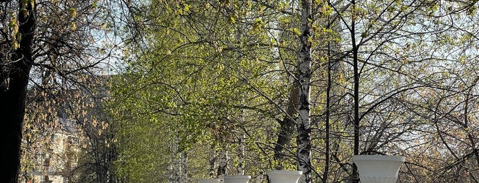 Александровский сад is one of Тюмень.