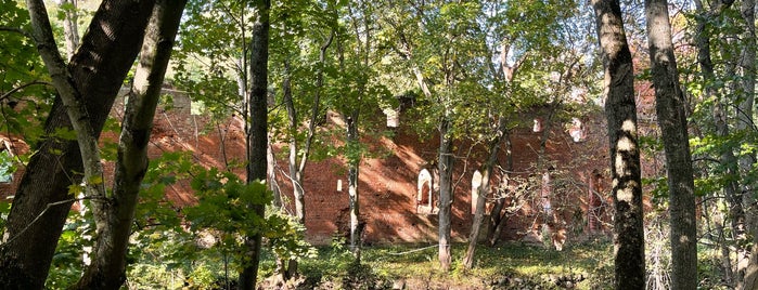 Руины замка Бальга is one of Кирхи и англиканские церкви России.