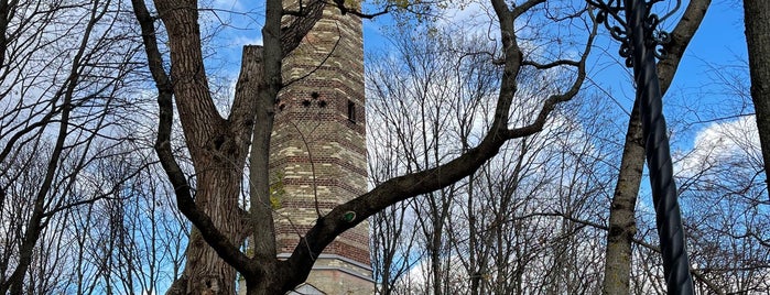 Обзорная башня is one of Wishlist.