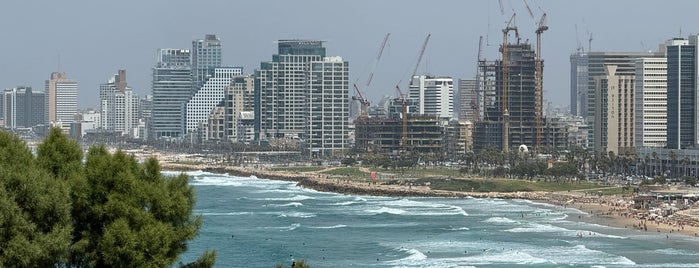 Tel Aviv is one of Check in spots.