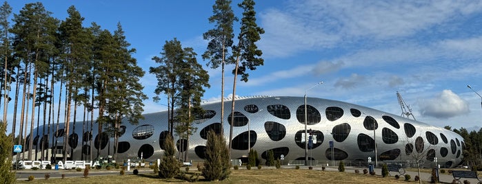 Борисов-Арена / Borisov Arena is one of Minsk.