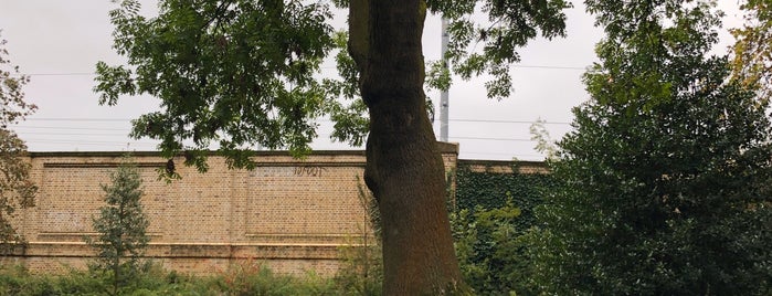 The Hardy Tree is one of Lieux qui ont plu à Tobias.