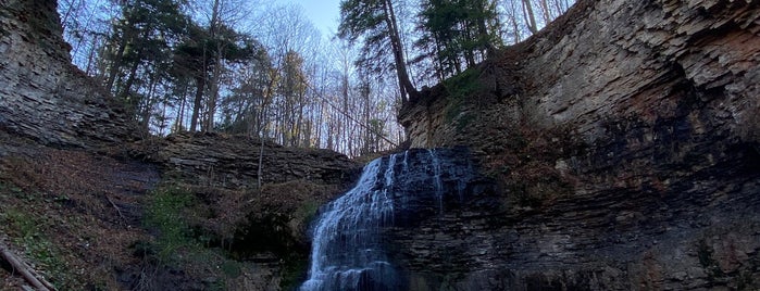 Tiffany Falls is one of ham.