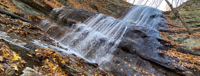 Sherman Falls is one of Chasing Waterfalls.