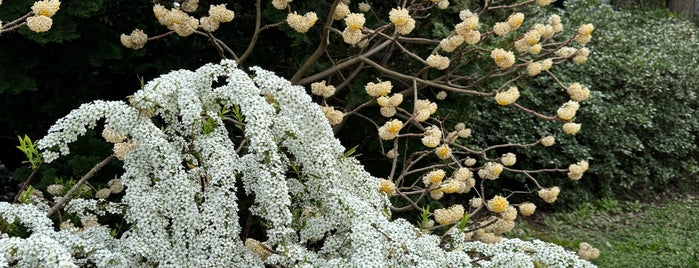 Enid A. Haupt Garden is one of 워싱턴dc.