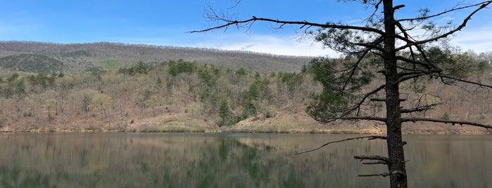 Douthat State Park is one of Virginia State Parks to Visit.