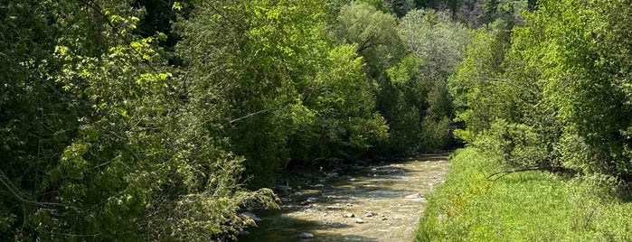 Rouge National Urban Park is one of Things to Do in Toronto.