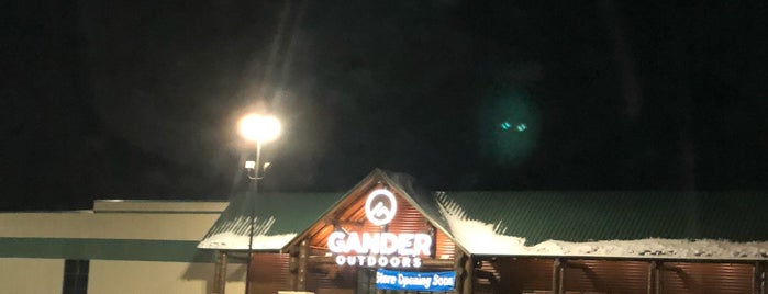 Gander Outdoors is one of Other places I go.