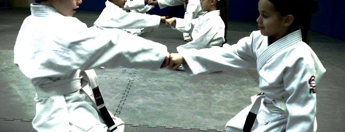 Fenix Brazilian Jiu-Jitsu/ Marlborough is one of Locais curtidos por Julieta.