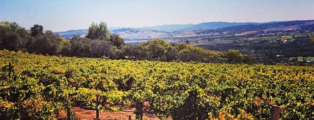Hanzell Winery is one of Locais curtidos por IrmaZandl.