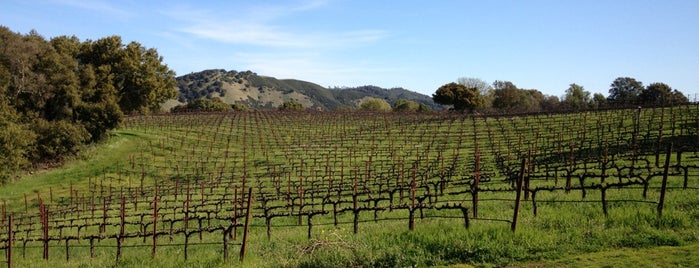 Chappellet Winery is one of Wineries.