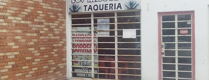 Barbacoa de Borrego "Los Magueyes" is one of Monterrey.