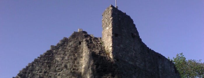 Obere Burg Schellenberg is one of สถานที่ที่ Nieko ถูกใจ.