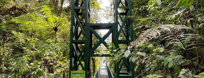 Selvatura Park is one of Monteverde.