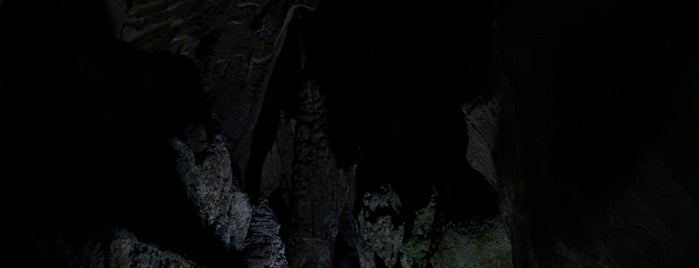 Senbutsu Limestone Cavern is one of 観光4.