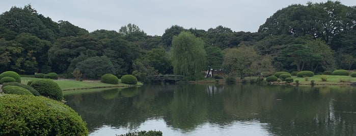 Shinjuku Gyoen is one of Sailor’s Liked Places.