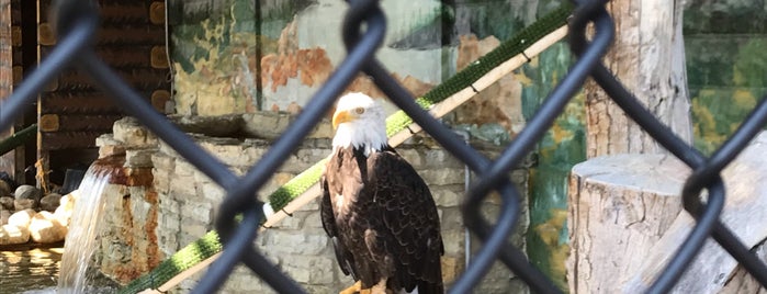 Phillips Park Zoo is one of Sailor'un Beğendiği Mekanlar.