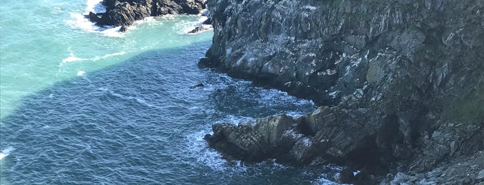 Howth Cliff Walk is one of Sailor : понравившиеся места.