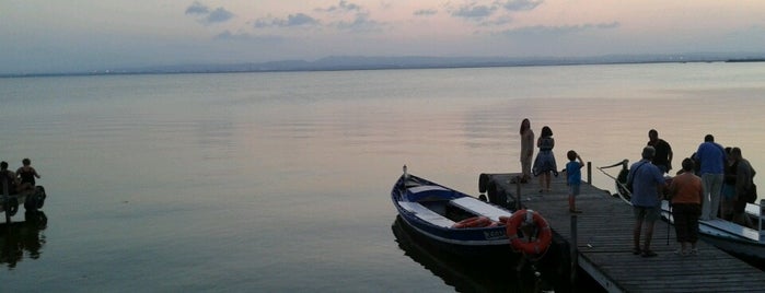 Parc Natural de l'Albufera is one of Best of Valencia.