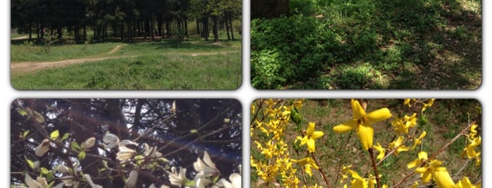 Ботанічний сад / Botanical Garden is one of Kharkiv.