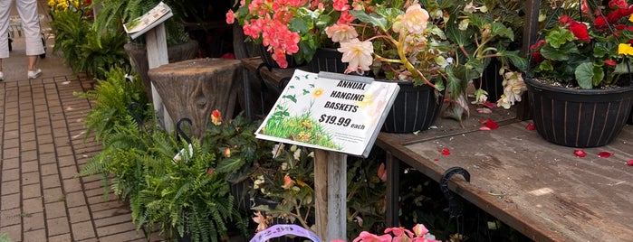 Oakland Nursery is one of Freaker Stores: USA.