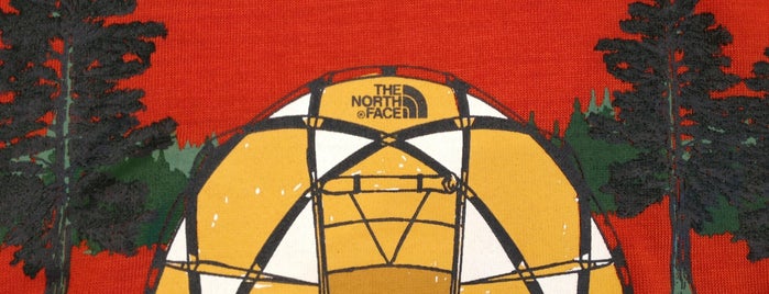 The North Face is one of Locais curtidos por Alexandra.