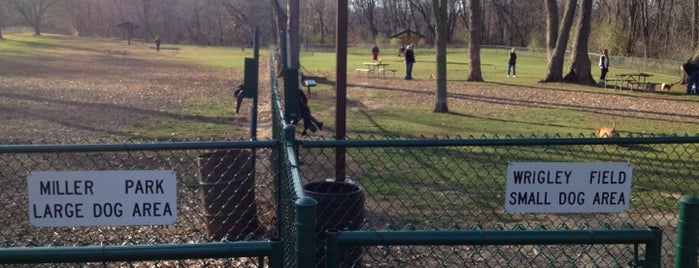 Petrifying Springs Dog Park is one of Lugares favoritos de Cherri.