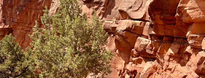 Watchman Trail is one of Zion.