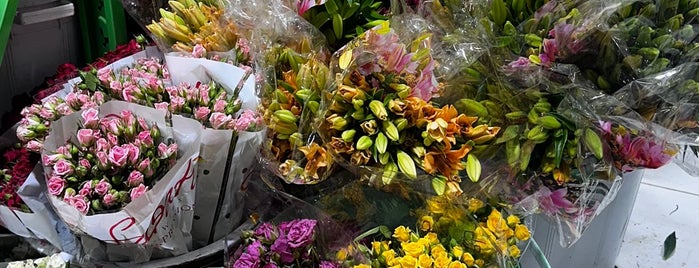 ITA Agri. Ltd. is one of Flower shops.