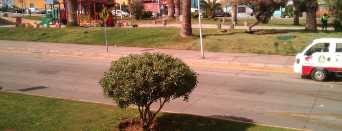 Plaza Olivar is one of Antofagasta.