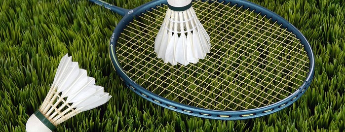 Badminton court@tampines tree park is one of Badminton.