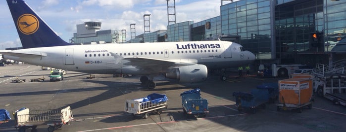 Frankfurt Havalimanı (FRA) is one of Lucas'ın Beğendiği Mekanlar.